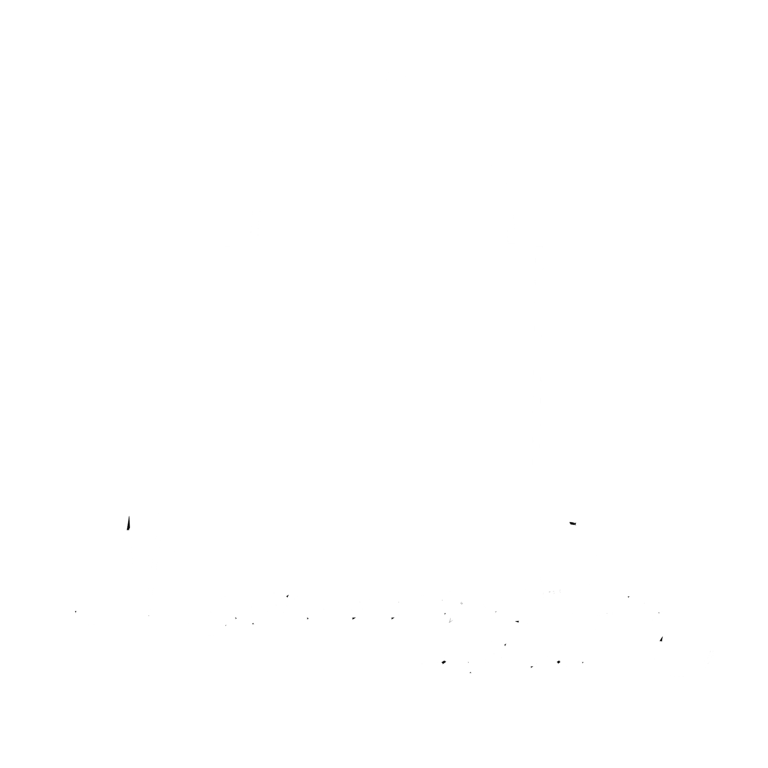 Moroccan Rug Area