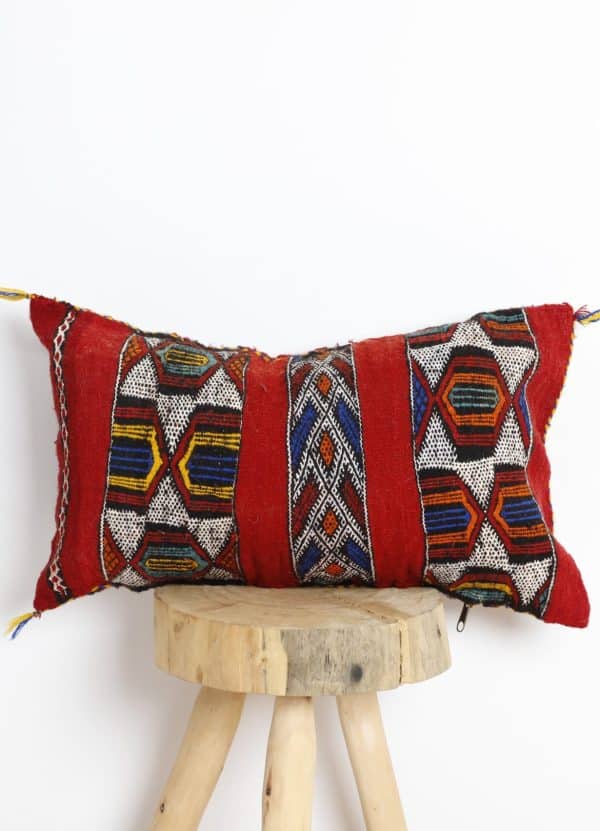 Moroccan-Inspired Western Throw Pillows: A Global Design Fusion