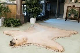 White Pelt Rug: The Ideal Touch for Elegance and Warmth in Room