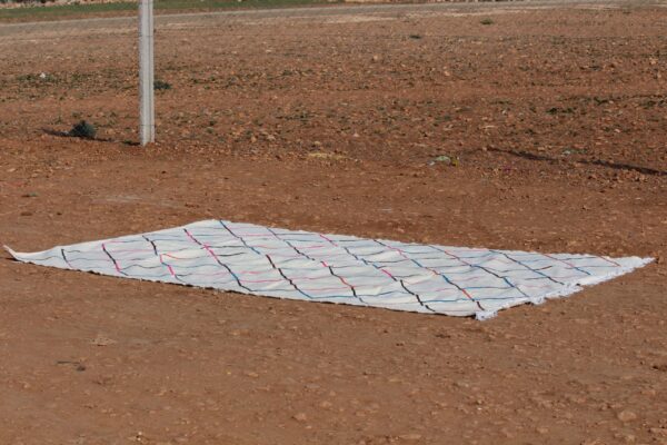 Minimalist Kilim Striped Rug - Image 2