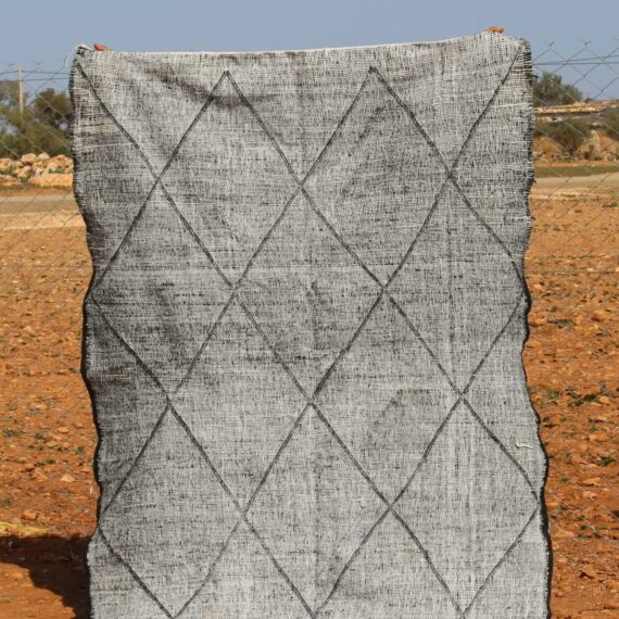 Minimalist Flatweave Rug with clean design and handwoven craftsmanship