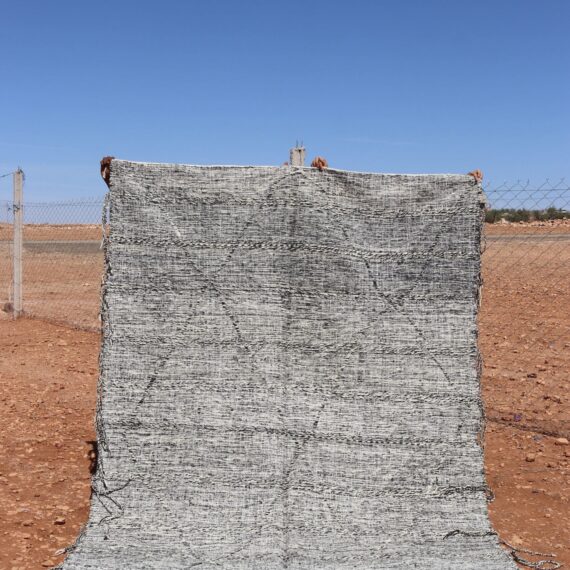 Boho Kilim Flatweave with intricate bohemian patterns and natural fibers