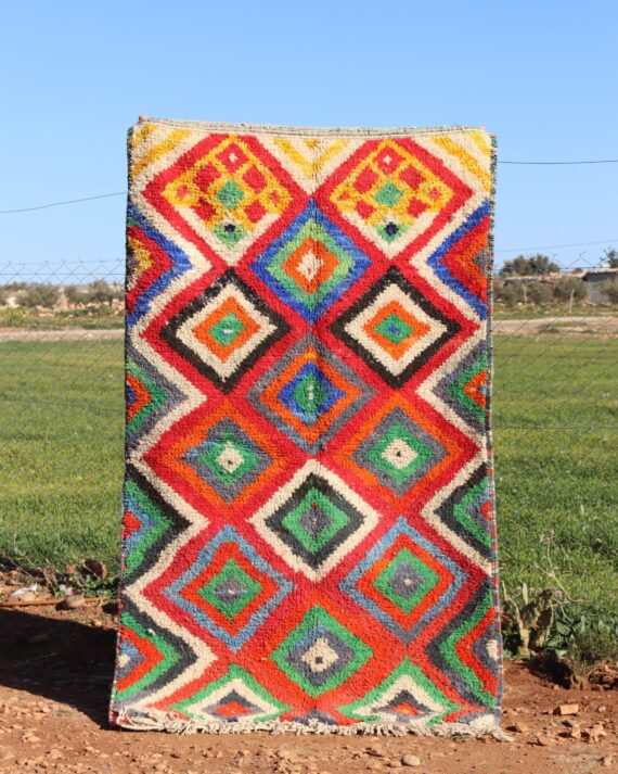 Bright Bohemian Rug with colorful patterns