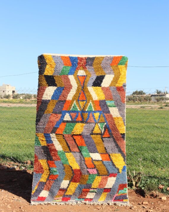 Eclectic Colorful Rug with diverse designs