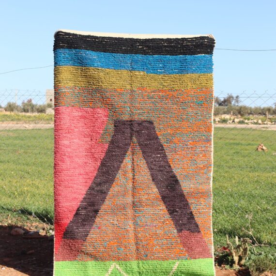 Colorful Patterned Rug with vibrant designs