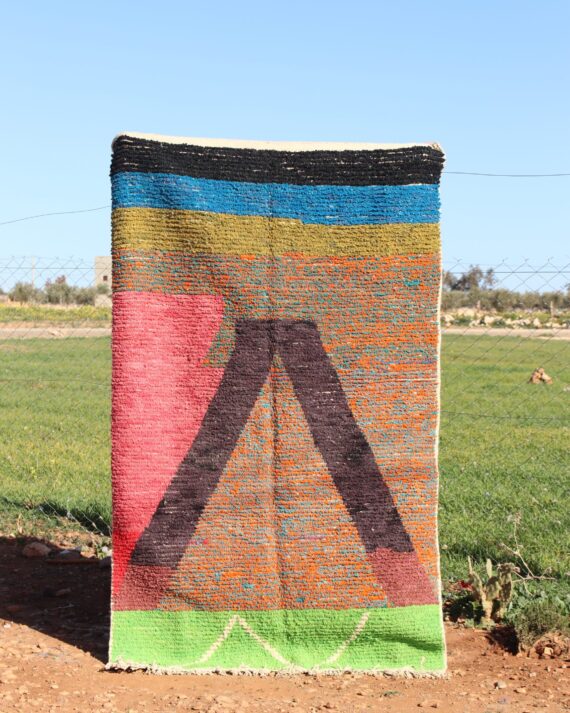 Colorful Patterned Rug with vibrant designs