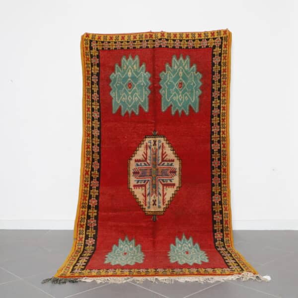 Taznakht Rug 9.3x4.8 Ft red wool handmade Moroccan rug