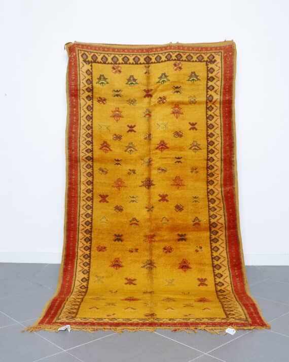 Taznakht Rug 9.2x4.8 Ft handmade in Morocco with Amazigh motifs