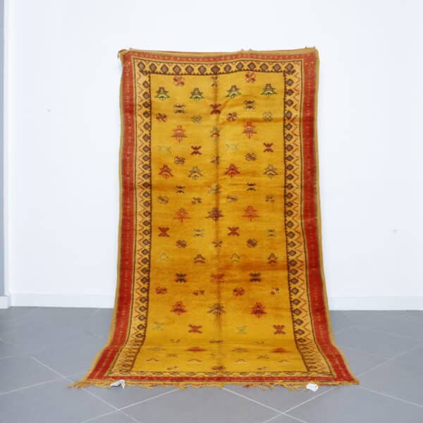 Taznakht Rug 9.2x4.8 Ft handmade in Morocco with Amazigh motifs