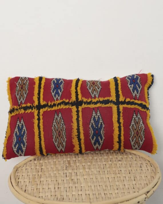 vintage Moroccan pillow