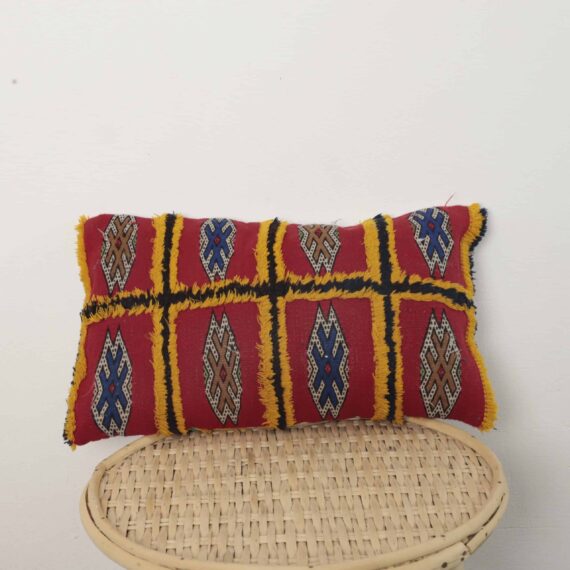 vintage Moroccan pillow