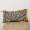 Moroccan tribal pillow