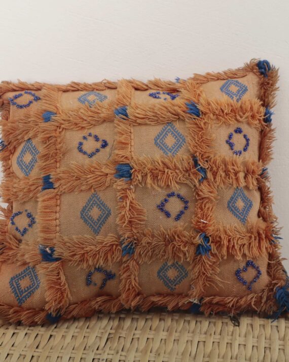 Moroccan Sabra pillow